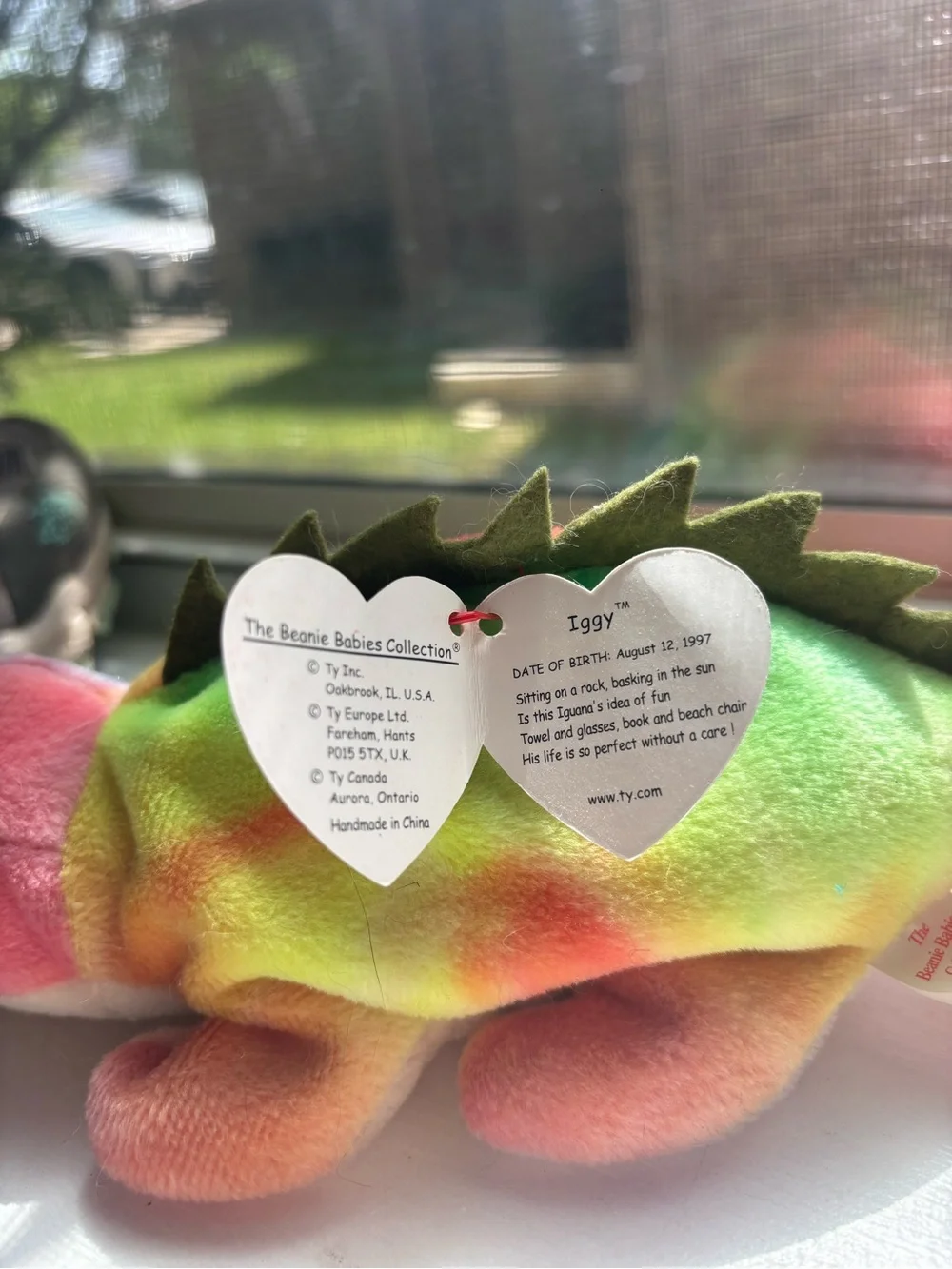 TY Beanie Baby Multicolor Chameleon Plush and TINY Chihuahua